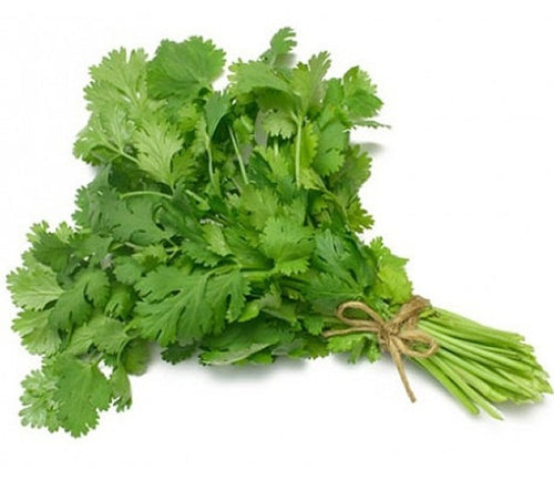 Load image into Gallery viewer, Coriander-新鮮芫茜 (Produce of Spain)-1bunch-FVEG114