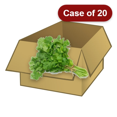 Load image into Gallery viewer, Coriander-新鮮芫茜 (Produce of Spain)-1bunch-FVEG114-20