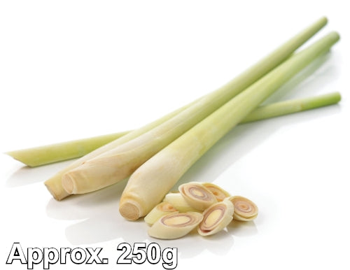 Load image into Gallery viewer, Lemon Grass-新鮮香茅 (Produce of Thailand)-1kg-FVEG113