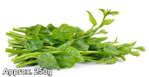 Load image into Gallery viewer, Malabar Spinach (San Choi)-新鮮潺菜-1kg-FVEG225