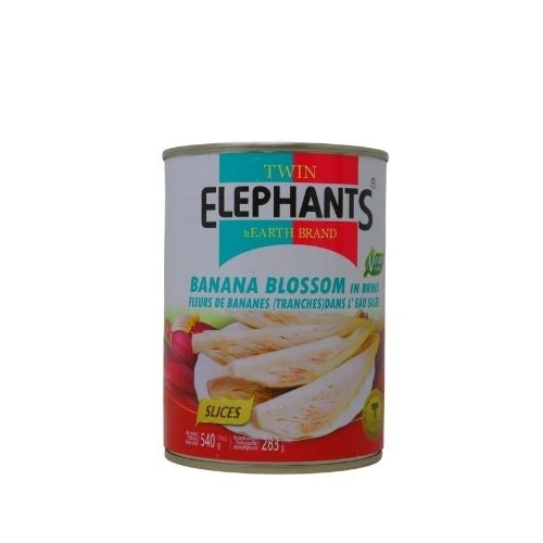 Load image into Gallery viewer, Twin Elephants Banana Blossom in Brine-鹽水香蕉芯-540g-TFRU301