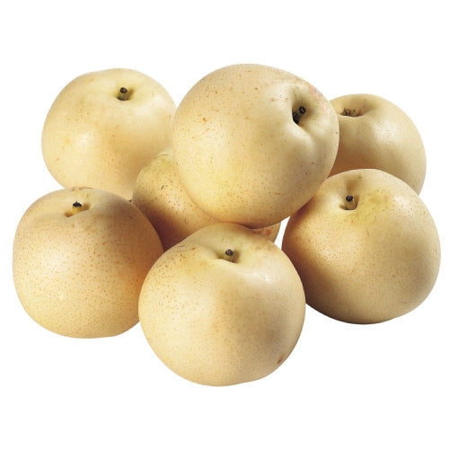 Nashi Pears (1kg)-沙梨-FFRU127D