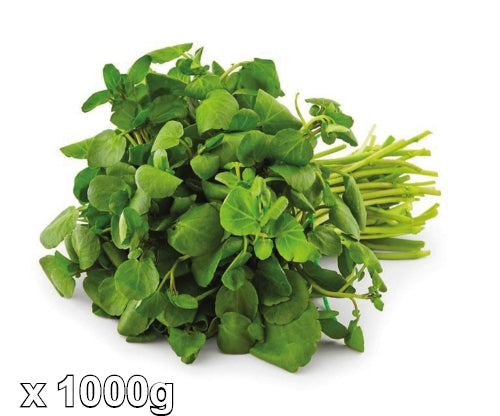 Load image into Gallery viewer, Watercress-新鮮西洋菜-1000
