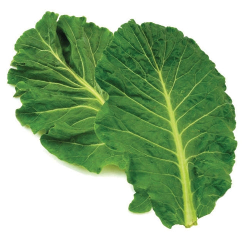 4kg Spring Green - Leaf-椰菜葉(海草)-4kg-FVEG301