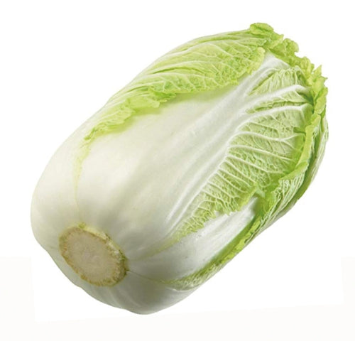 Chinese Leaves-新鮮紹菜-1pc-FVEG208