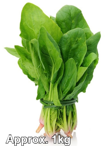 Chinese Spinach-新鮮菠菜-1kg-FVEG207-1000