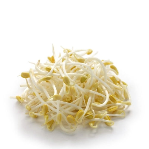 Fresh Bean Sprouts-芽菜-350g-FVEG101C