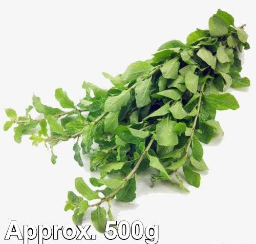 Load image into Gallery viewer, Gow Kee-新鮮枸杞-1kg-FVEG222-500
