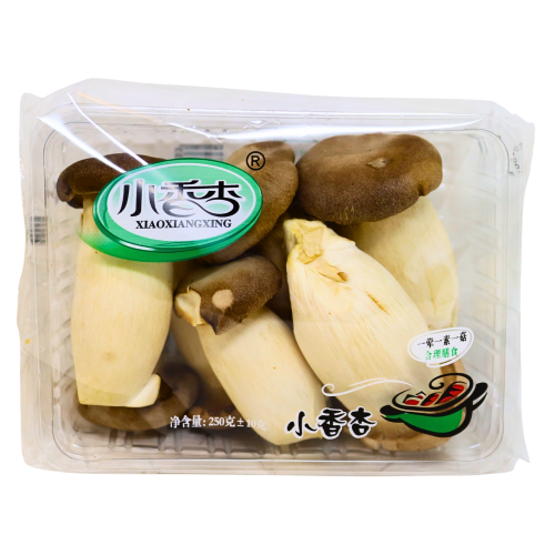 King Oyster Mushroom (Eringi) - 250g-小杏菇(雞腿菇) - 250g-250g-FVEG517A