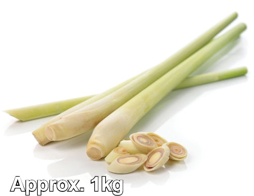 Lemon Grass-新鮮香茅 (Produce of Thailand)-1kg-FVEG113-1000