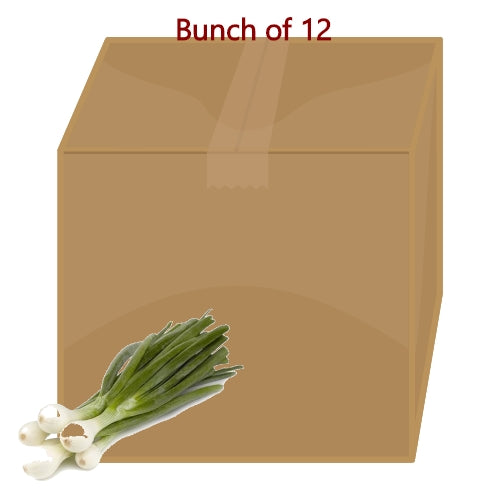 Spring Onion (Bunch)-新鮮葱仔 (Produce of Egypt)-1bunch-FVEG105-12