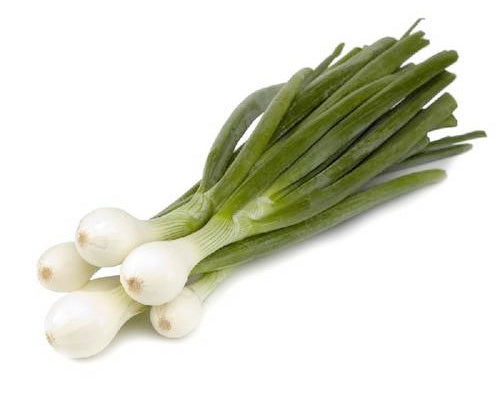 Spring Onion (Bunch)-新鮮葱仔 (Produce of Egypt)-1bunch-FVEG105
