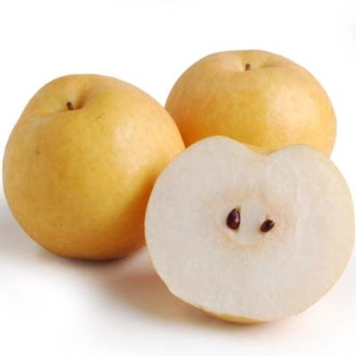 YB Singo Pear-韓國黃金梨-1kg-FFRU139A